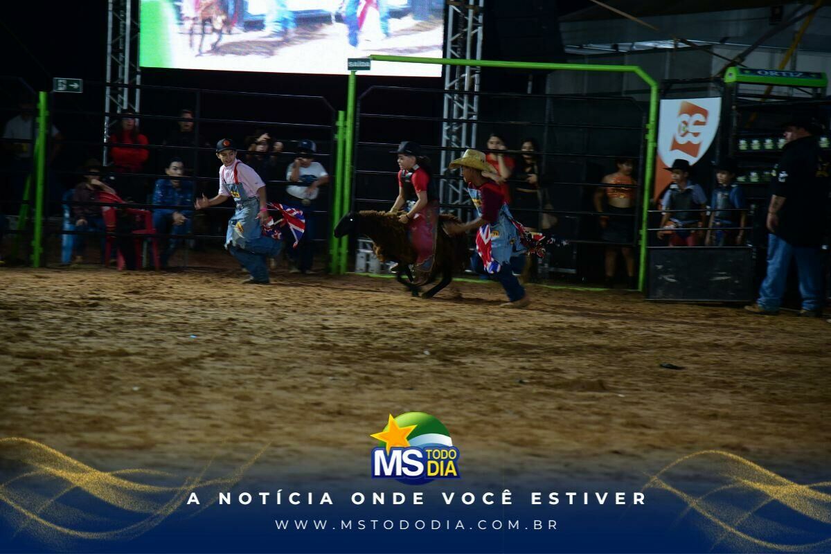 Imagem da Galeria